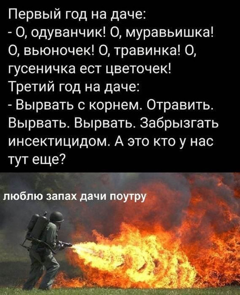 Мем, Mghost