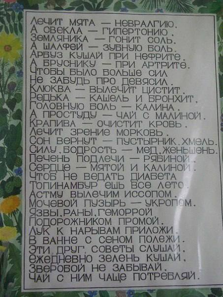 Мем: Астму вылечим иссопом, мочевой пузырь - укропом!, Леонид Хлыновский