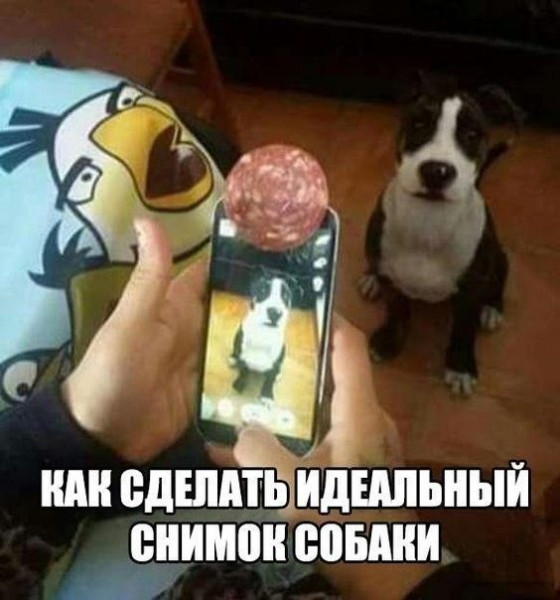 Мем: Берите на заметку, iteam