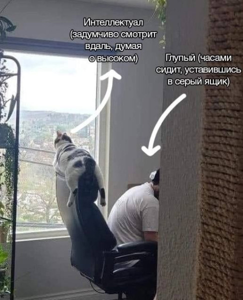 Мем: По факту, iteam