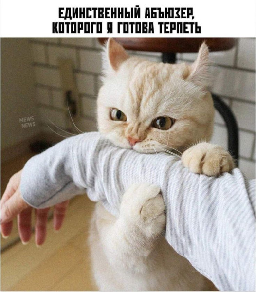 Мем: Юмор, iteam