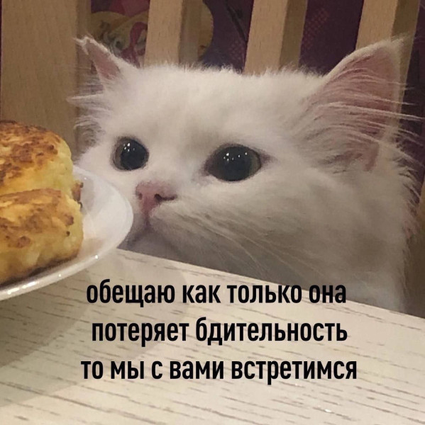 Мем, Леонид Хлыновский