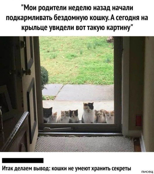 Мем, Леонид Хлыновский