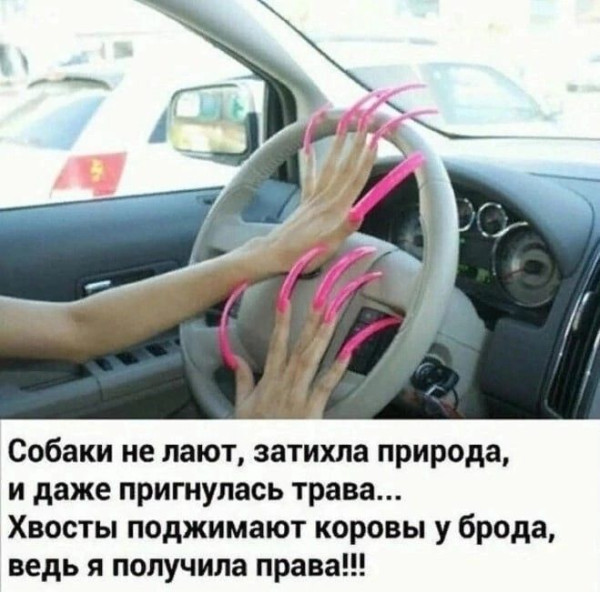 Мем: Как вам?, iteam