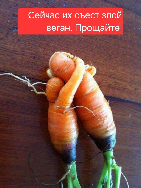 Мем: Сцена прощания перед казнью, 1andreymx