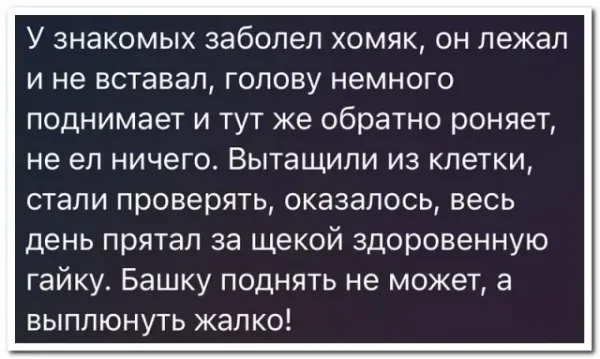 Мем