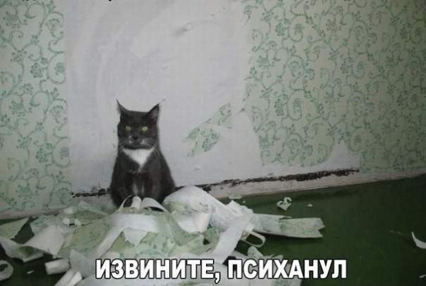 Мем, Леонид Хлыновский