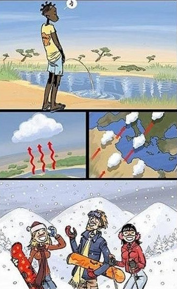 Мем, Бывает