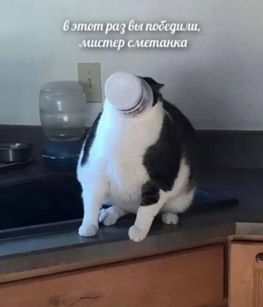 Мем, Леонид Хлыновский