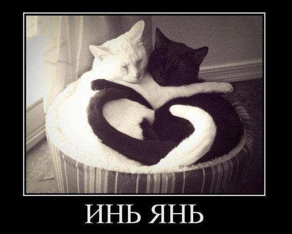 Мем, Бывает