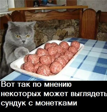 Мем, Лис Интересный