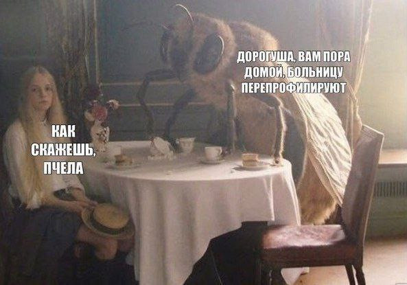 Мем, Леонид Хлыновский
