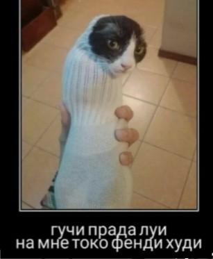 Мем, Микки Маус