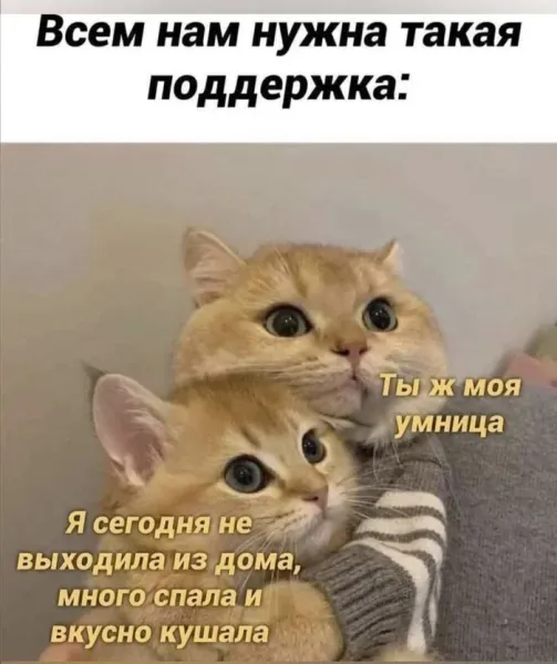 Мем, Микки Маус