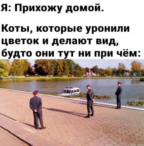 Мем, Смехалка