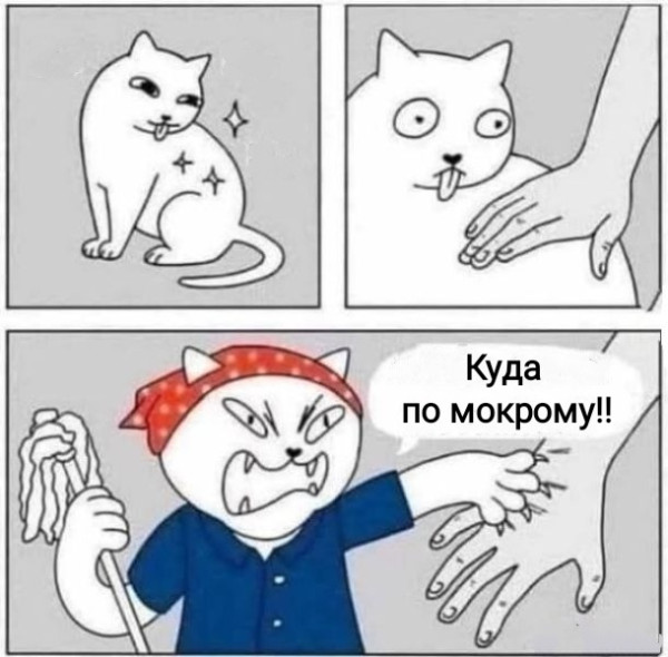 Мем, Рысь
