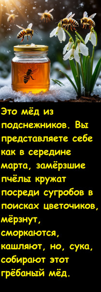 Мем, Лис Интересный