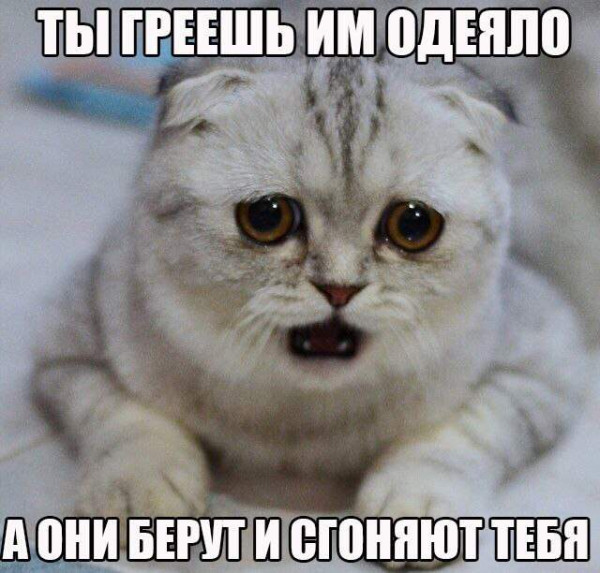 Мем, Леонид Хлыновский