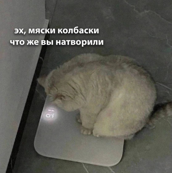 Мем, Леонид Хлыновский