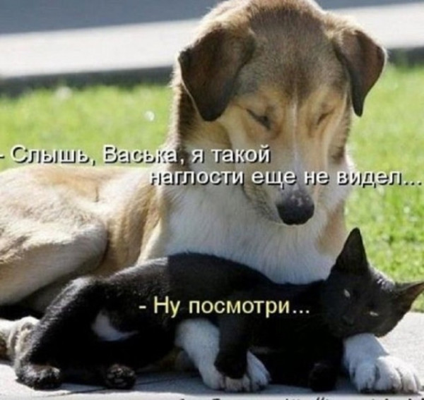 Мем, Смехалка