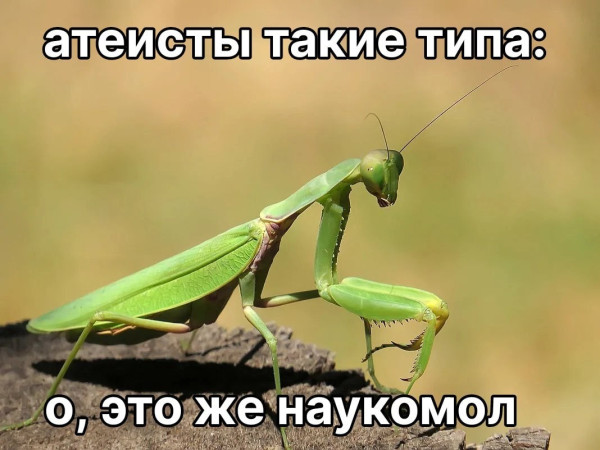 Мем, FDio