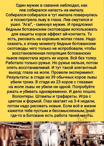 Мем, Оби Ван Киноби
