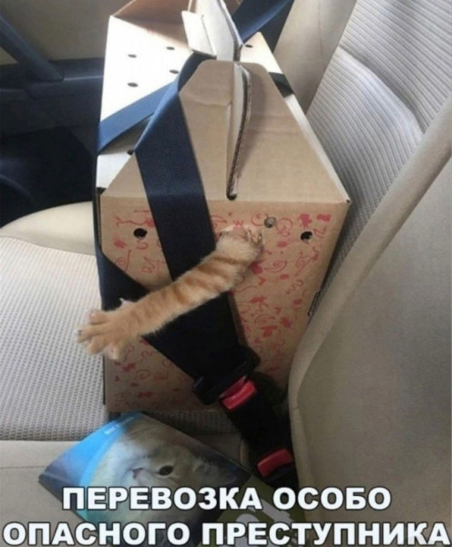 Мем, Смехалка