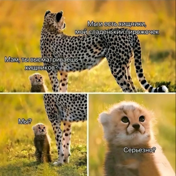 Мем, Смехалка