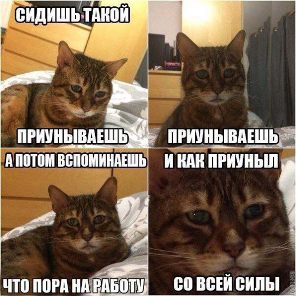 Мем, Леонид Хлыновский