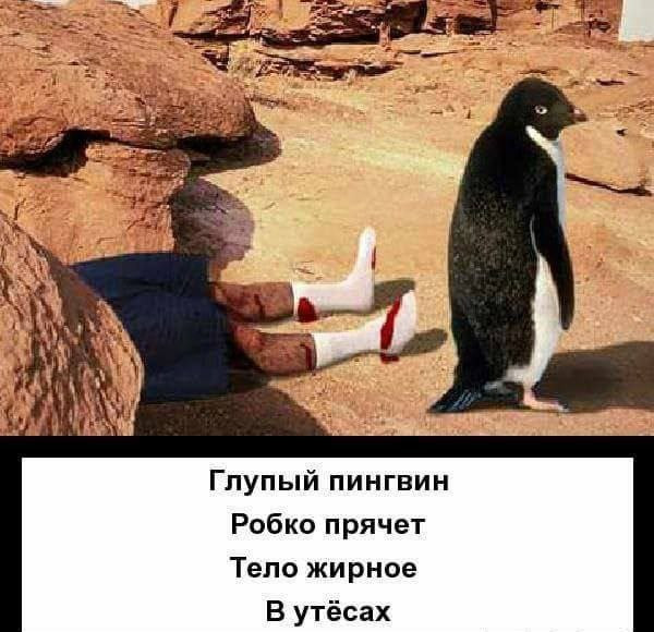 Мем, Максим Камерер