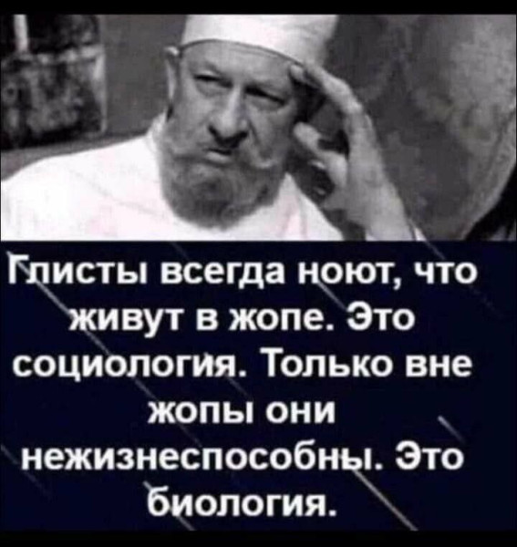 Мем, Максим Камерер