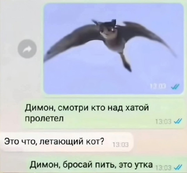 Мем, Смехалка