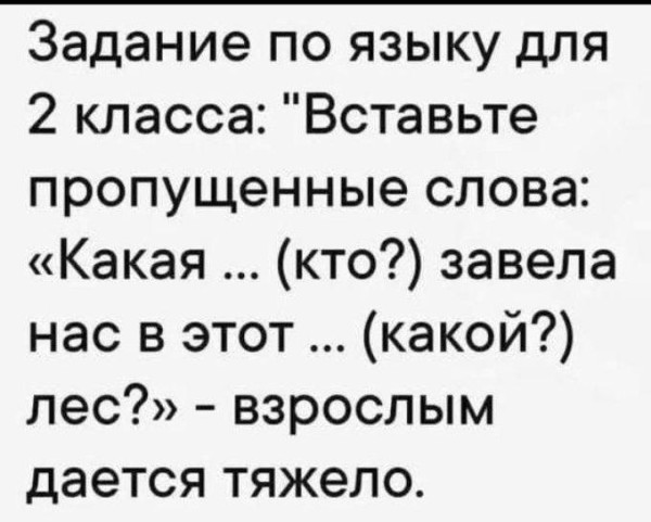 Мем, Bassplayer