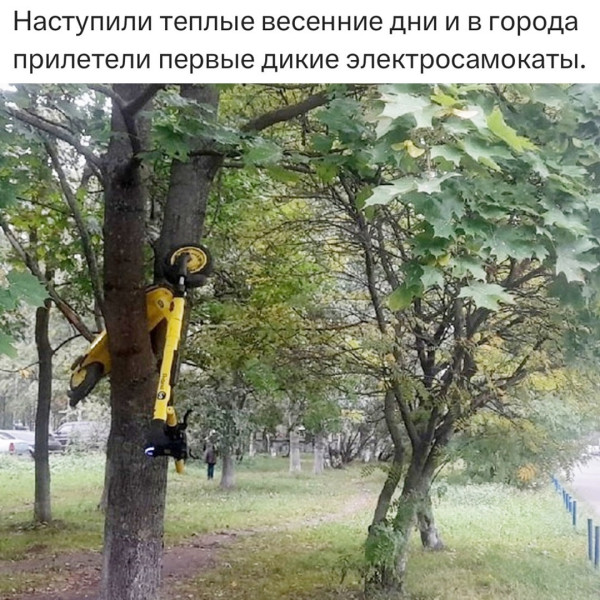Мем, Смехалка