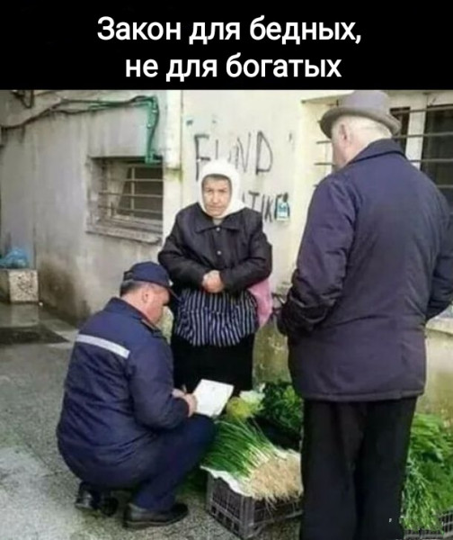 Мем, Рысь