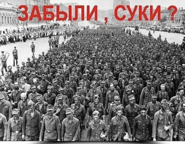 Мем: Напомним, Максим Камерер