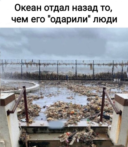 Мем, Рысь
