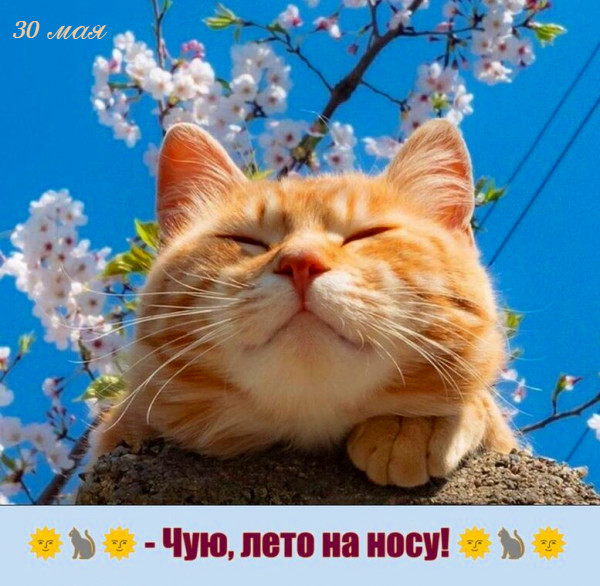 Мем