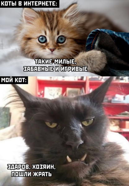 Мем, Леонид Хлыновский