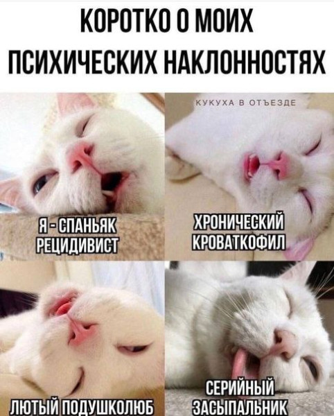 Мем, ArsenZahar