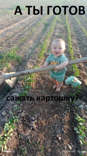 Мем: майские начинаются, GRave