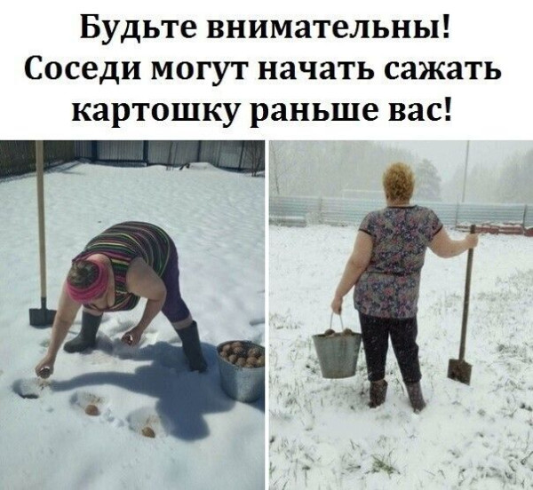 Мем: Кто быстрее, iteam