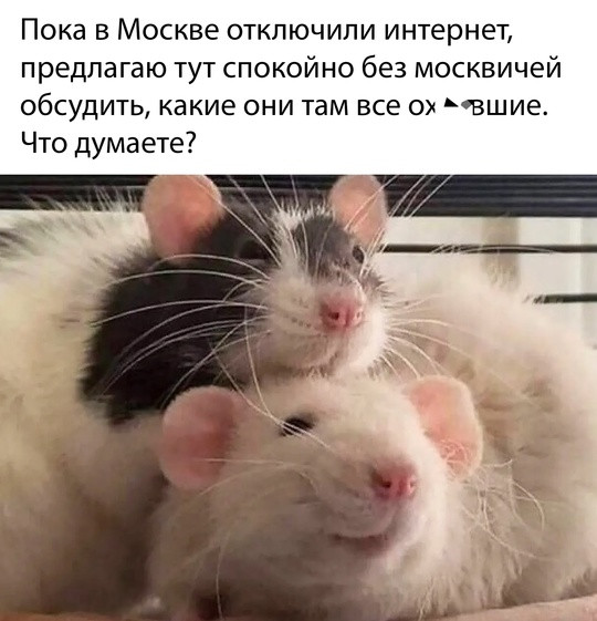 Мем, нумай