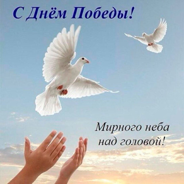 Мем: С Днем Победы!