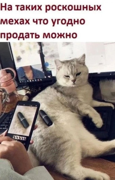 Мем: Юмор дня, ЕкатеринКА