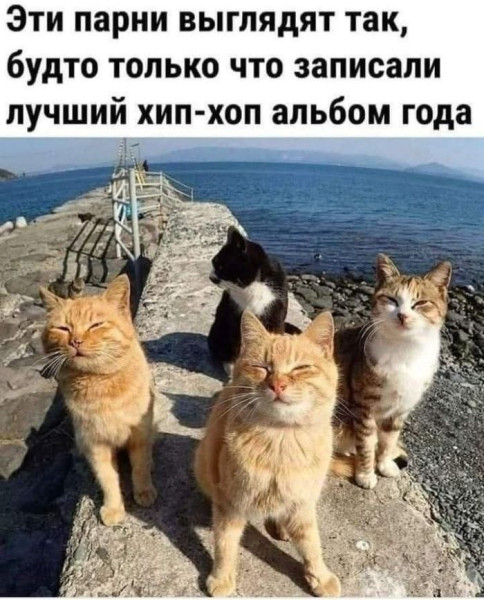 Мем: Юмор дня, ЕкатеринКА
