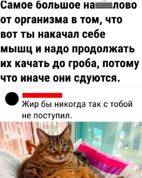 Мем