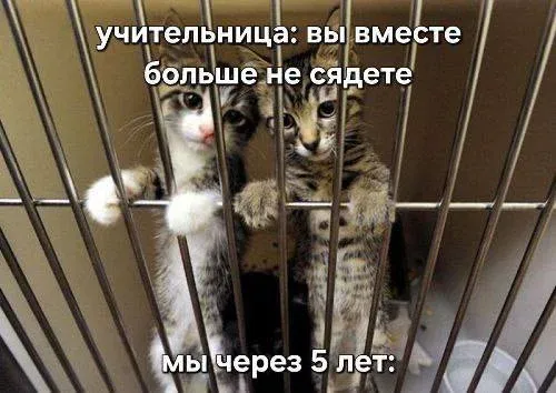 Мем