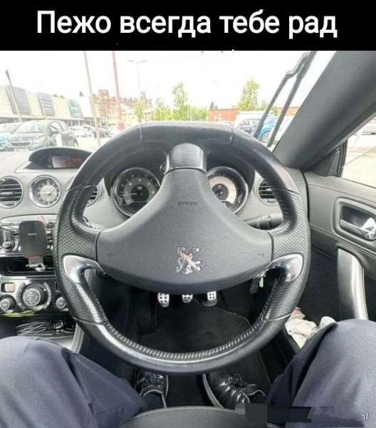 Мем, Рысь