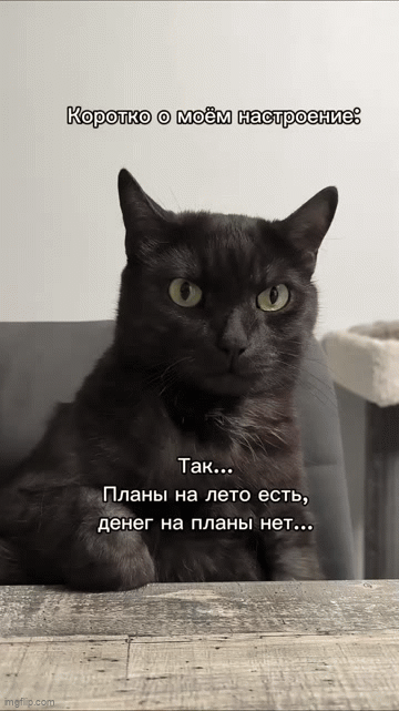 Мем, Ymir